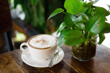 Cup of hot cappuccino and glass vase with green plant on wooden table in cafe.