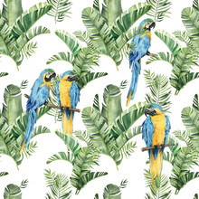 Pattern With Beautiful Watercolor Parrots And Tropical Leaves. Tropics. Realistic Tropical Leaves. Tropical Birds.