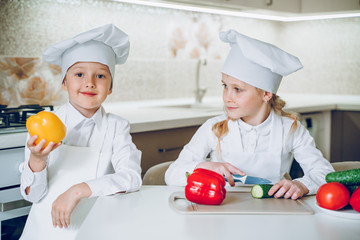 little cooks cut vegetables for salad