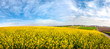Wonderful panoramic view of the rapeseed field from above, and the city on the horizon