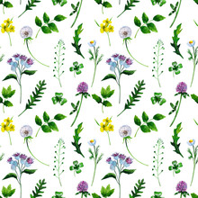 Wild Healing Herbs On A White Background. Seamless Pattern Design For Wallpaper, Paper, Textile.