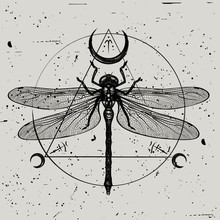 Vector Illustration Of A Hand-drawn Dragonfly With Sacred Geometric Symbols On A Vintage Background. Sketch For Tattoo