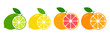 © Віталій Баріда - Fresh citrus fruits whole and halves of lime, lemon, grapefruit and orange. Vector illustration isolated on white background.