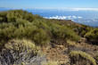 
Mountain Views of Tenerife