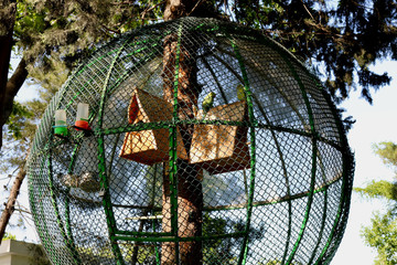Big cage on the tree. Parrots in a cage in the park