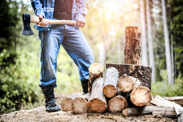 Wall Mural - Man holding heavy ax. Axe in strong lumberjack hands chopping wood trunks