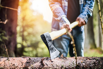 Lumberjack in checkered shirt chops tree in deep forest with sharp ax, Detail of axe,