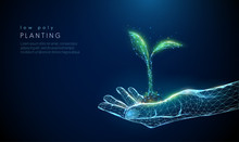 Abstract Giving Hand With Young Plant In Earth.
