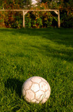 Fototapeta Sport - football. traditional soccer ball on green grass without people. football tournament.