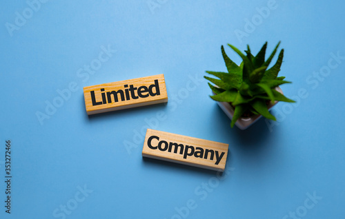 Fotomural Limited company words concept on wooden cubes