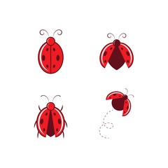 Poster - Ladybug logo and icon vector