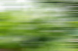 Fototapeta Sport - green field blur of motion blur