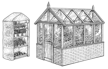 Wall Mural - Greenhouse illustration, drawing, engraving, ink, line art, vector