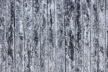 old wood texture