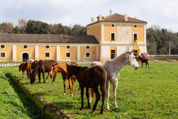 CARDITELLO, ITALY - The 18th century palace on the Royal Estate of Carditello is a small palace once belonging to the Neapolitan Bourbon Monarchy and its surrounding grounds in San Tammaro