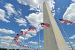 Washington Monument and U.S. National Flags - Washington D.C. United States of America