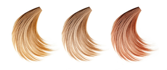 Healthy, shiny hair on a white background. Hair samples of different shades.