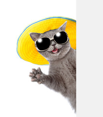 Canvas Print - Happy cat wearing sunglasses and summer hat looks from behind empty board and waving his paw. isolated on white background