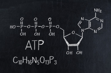 Black chalkboard with the chemical formula of ATP