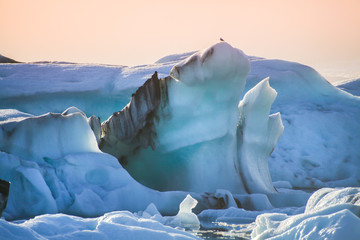 Icebergs in the Glacier Lagoon Jökulsárlón in Iceland. Golden hour ligt over the Vatnajokull glacier. Amazing landscapes and huge icebergs. Colorful Icelandic Landscape. Icebergs floating. Melting Ice