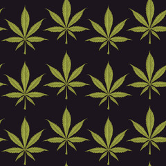 Wall Mural - Vector seamless pattern for legalized marijuana with green hemp leaves on a black backdrop. Decorative repeatable background with hand-drawn cannabis leaves in retro style