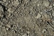 © Iryna - Dirty loose soil texture background for wallpaper and design.