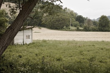 Wall Mural - Abandoned hut in the italian countryside (Pesaro, Italy, Europe)