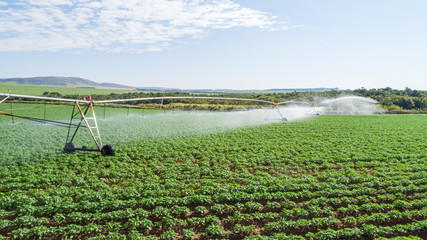 Agricultural irrigation system on sunny summer day. An aerial view of a center pivot sprinkler system.