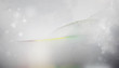 © bittedankeschön - netzwerk linien punkte verlauf formen banner