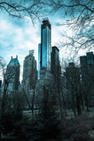Fototapeta Miasta - Central Park - New York, USA