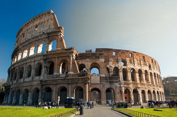 Wall Mural - Colosseum, Coliseum,  in Rome with green lawn in front on a spring day