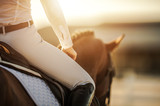 Female Horse Rider in Equestrian Facility
