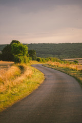 Landscape summer rural scene in France, region Burgundy. Road and nature in old europe. Countryside road in Burgundy