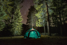 Nighttime Campsite In The Pine Forest
