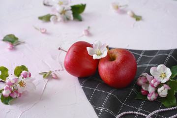 Wall Mural - apples and apple blossom on a pink background
