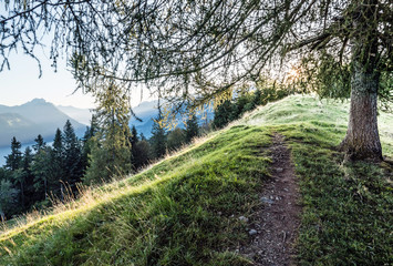 Sticker - Wanderweg bei Sonnenaufgang, oberhalb vom Thunersee, im Hintergrund die Kleinstadt Interlaken, Berner Oberland, Schweizer Alpen, Schweiz