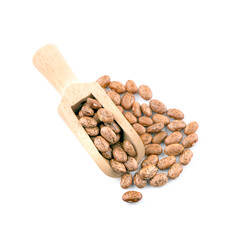 Wall Mural - Pinto beans an isolated on white background