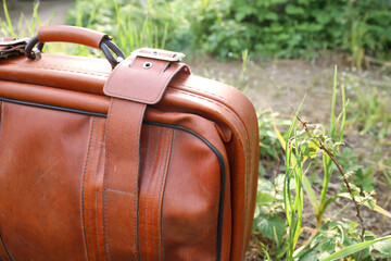 Wall Mural - Old suitcase on the background of nature