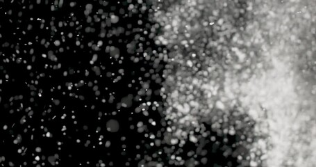 Wall Mural - white snowflakes falling in slow motion against an isolated black background.