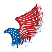 USA Eagle Symbol