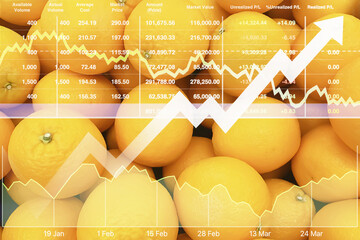 Stock financial index show successful investment on agriculture products such as organic fruit market with graph and chart for presentation and report background.