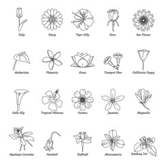 Poster - Set of flowers