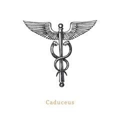 Wall Mural - Caduceus, vector illustration in engraving style. Vintage pastiche of esoteric and occult sign. Drawn sketch.