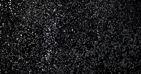 Wall Mural - strong snow blast at night. it shows shiny snowflakes falling from the sky fast against an isolated 