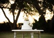 canvas print picture - Garden wedding cake