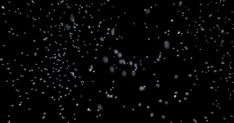 Wall Mural - snowflakes falling from the sky fast at night. the shot on an isolated black background