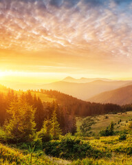 Wall Mural - sunset in the mountains