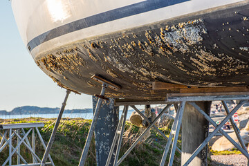 Barnacle growth on the hull of a sailboat. Ready to be scraped, cleaned and coated with antifouling paint.