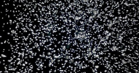Wall Mural - white snowflakes falling from the sky fast against an isolated black background