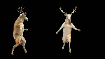 Wall Mural - deer dance cg fur 3d rendering animal realistic cgi vfx animation loop composition 3d mapping cartoo